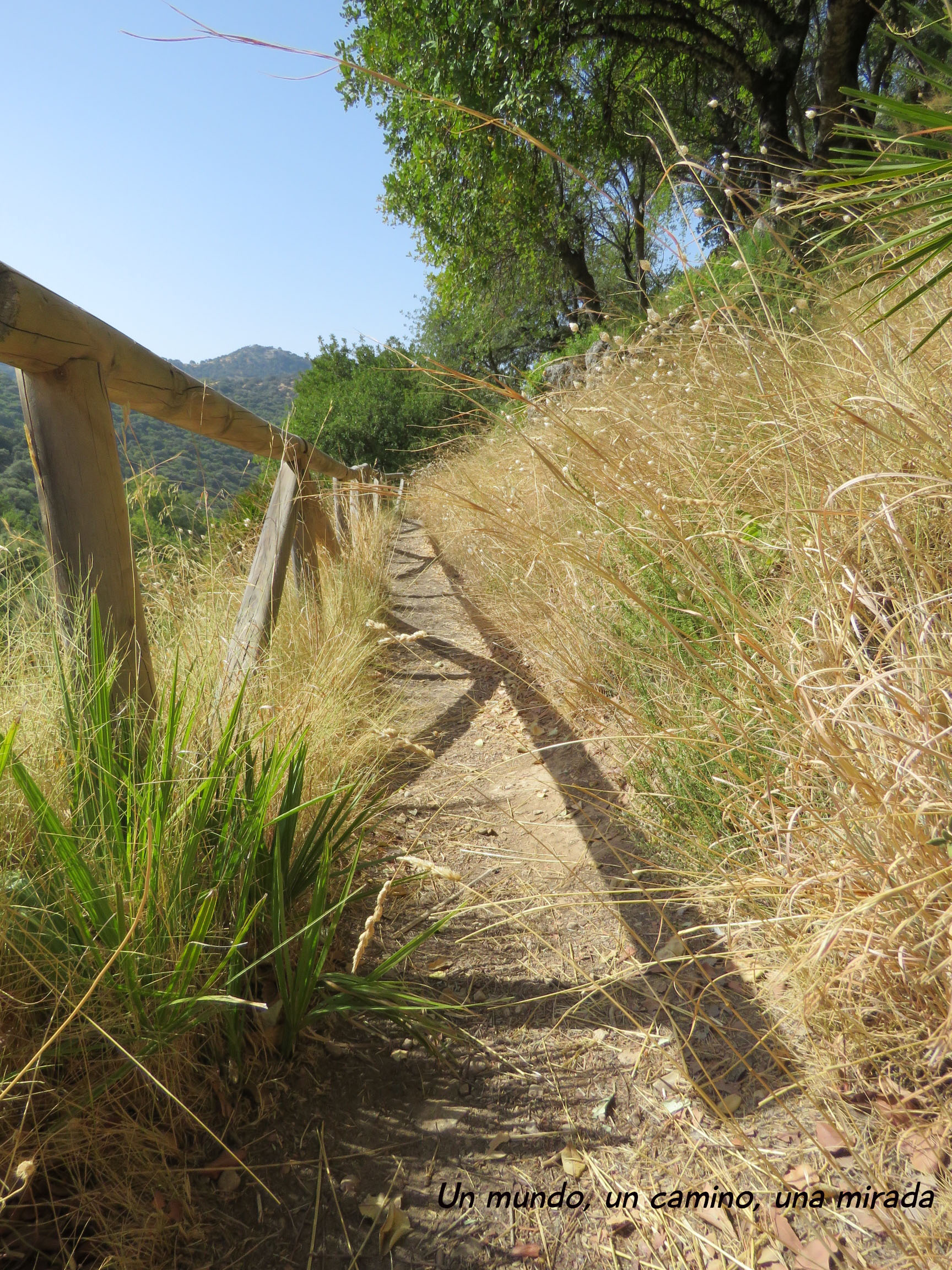 arroyo-del-descansadero