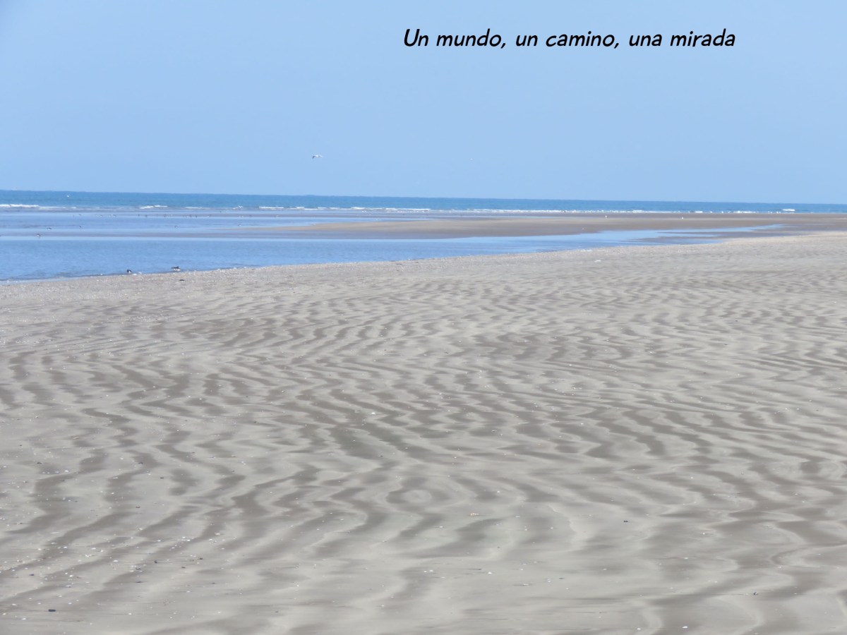 Parque Nacional de&nbsp;Doñana