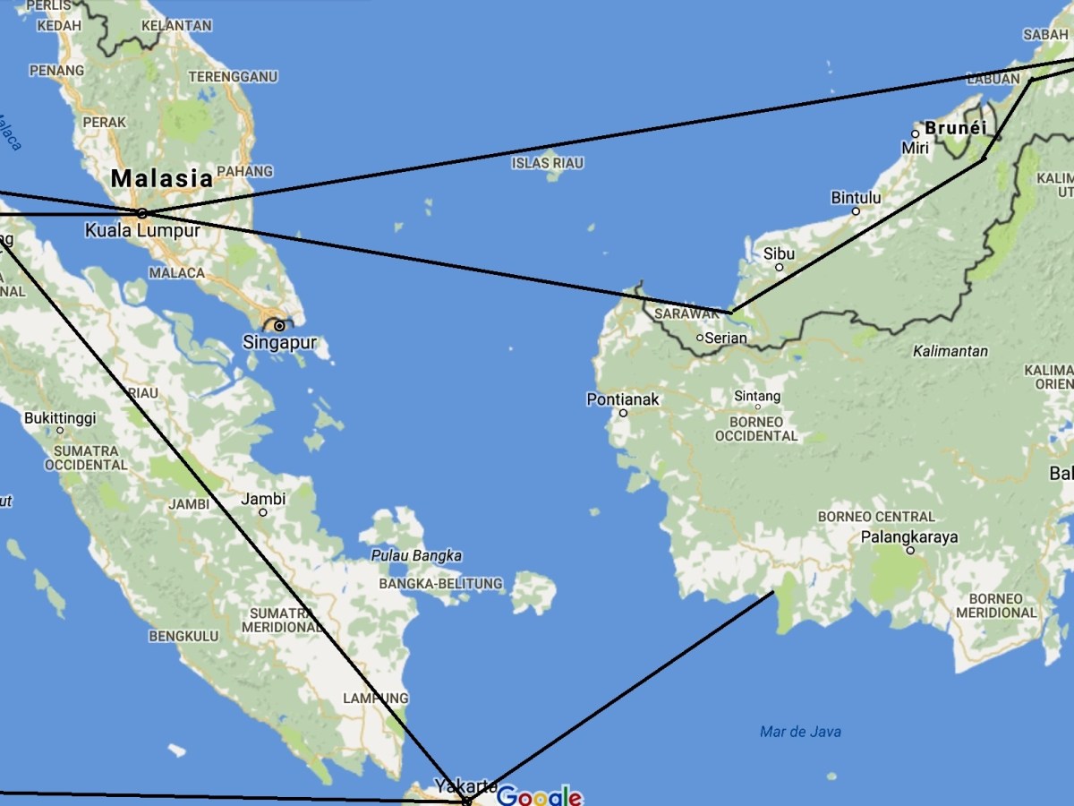 Tras las huellas del&nbsp;orangután