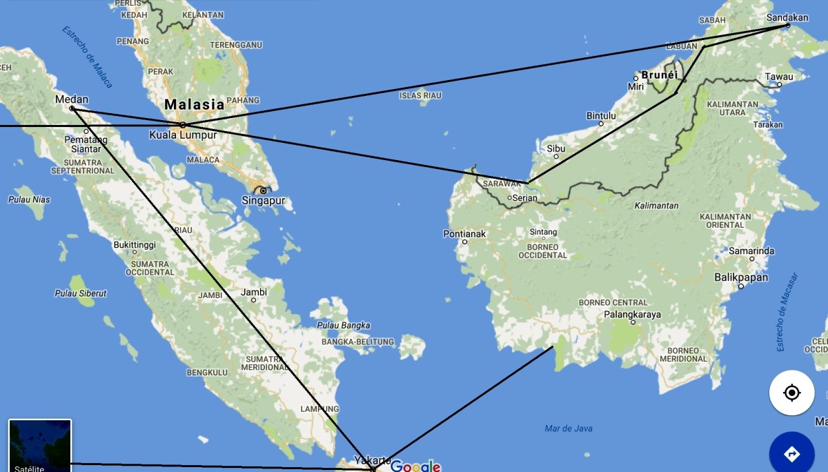 Tras las huellas del&nbsp;orangután