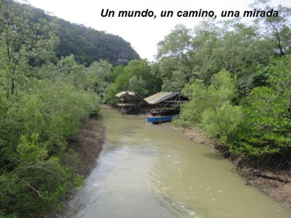 Parque Nacional Bako – la&nbsp;aventura