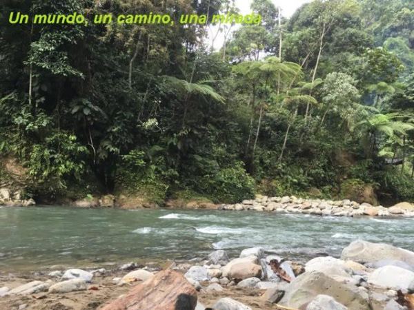 Parque Nacional de Gunung Leuser desde Bukit&nbsp;Lawang