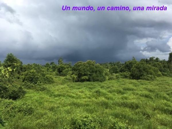 Reflexión final. Borneo y&nbsp;Sumatra