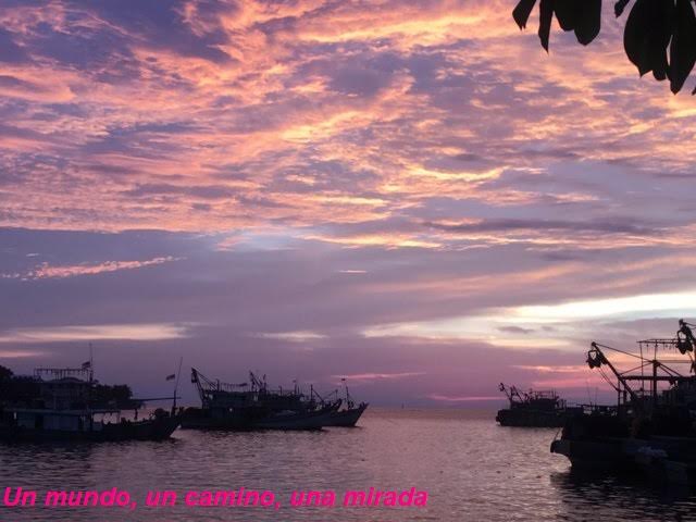 Lo que + nos gustó y lo que -. Borneo y&nbsp;Sumatra