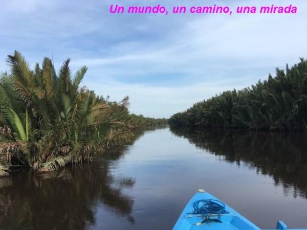 Parque Nacional de Tanjung&nbsp;Puting