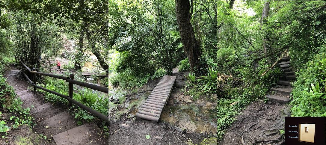 camino gorg del duran