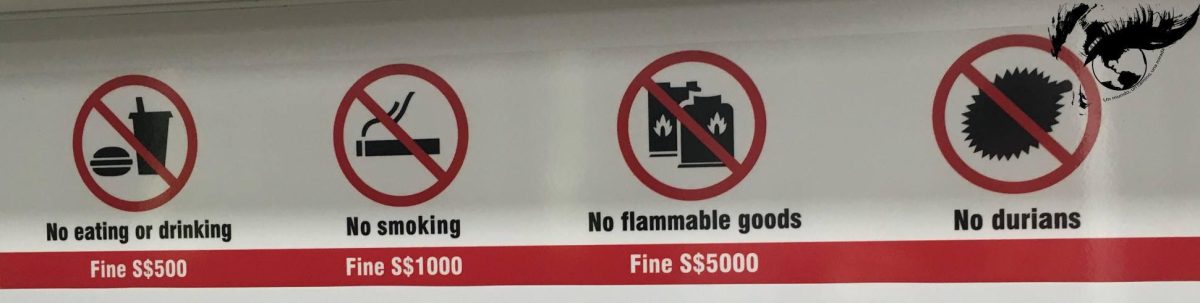 Recomendaciones de viaje –&nbsp;Singapur