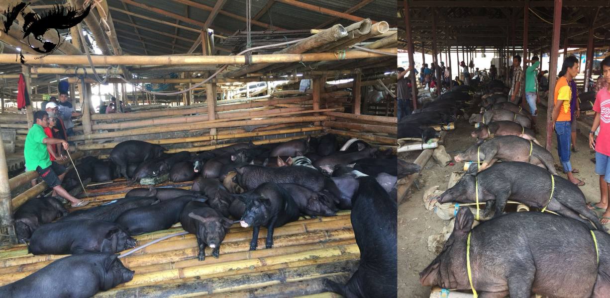 resized_cderditos fusión ok