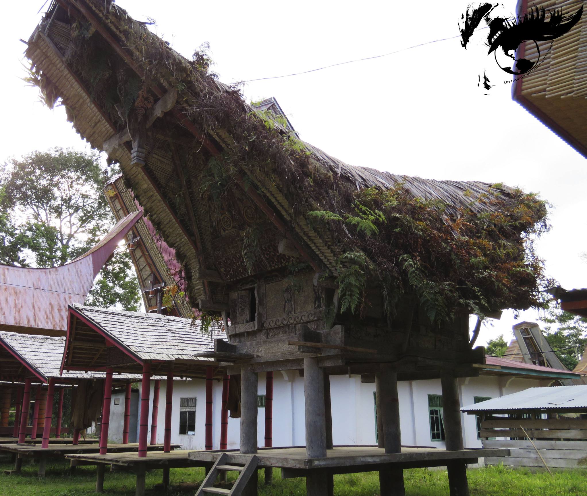 resized_foto alang viejo