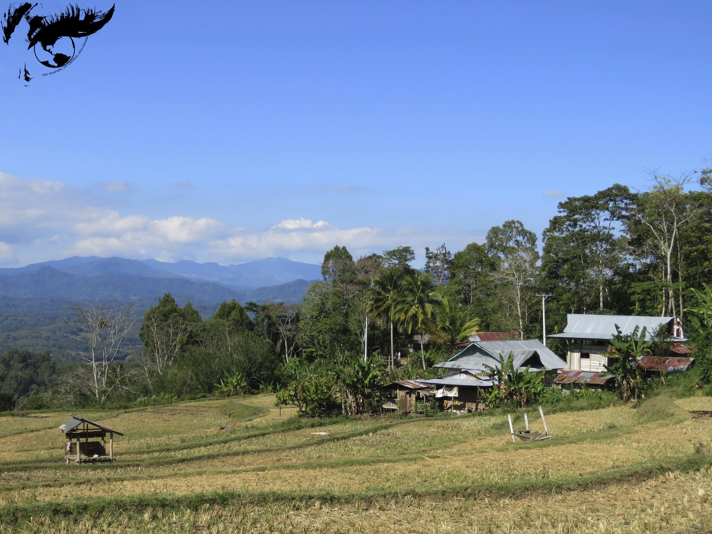 resized_foto casas no tradicionales