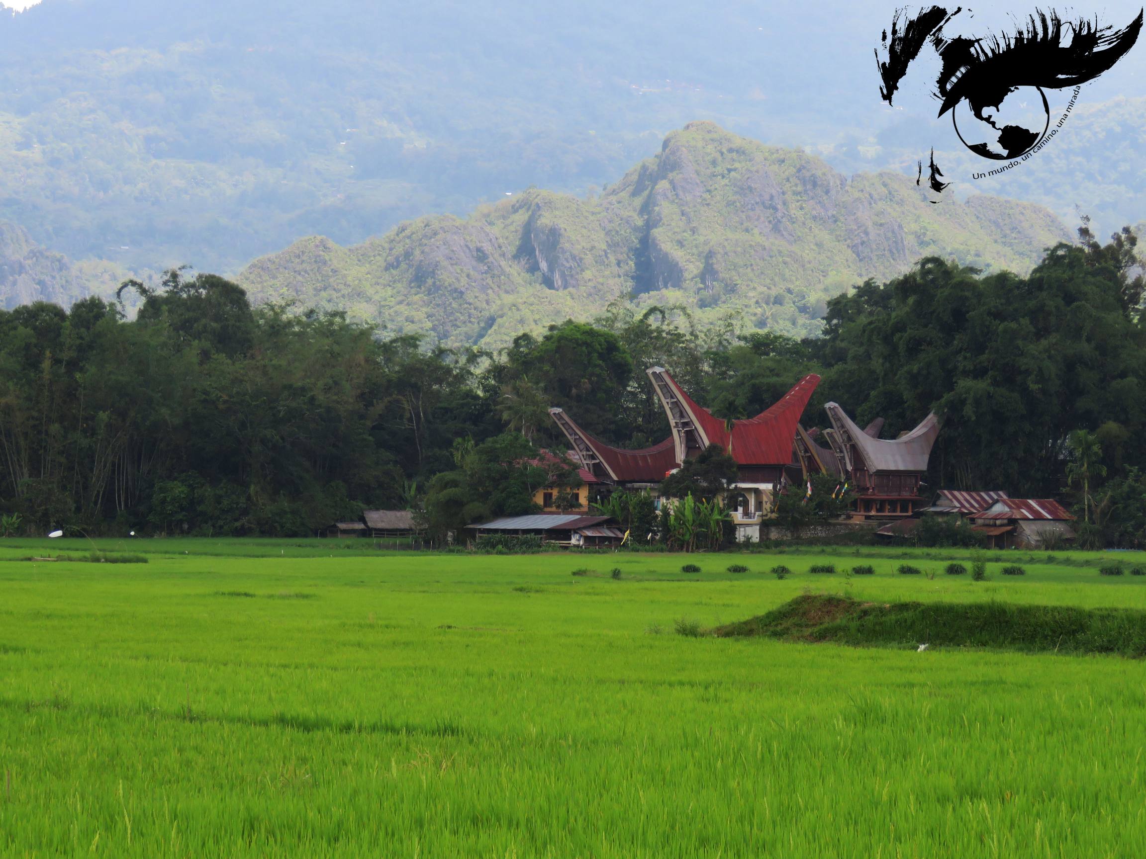 resized_foto casas ok