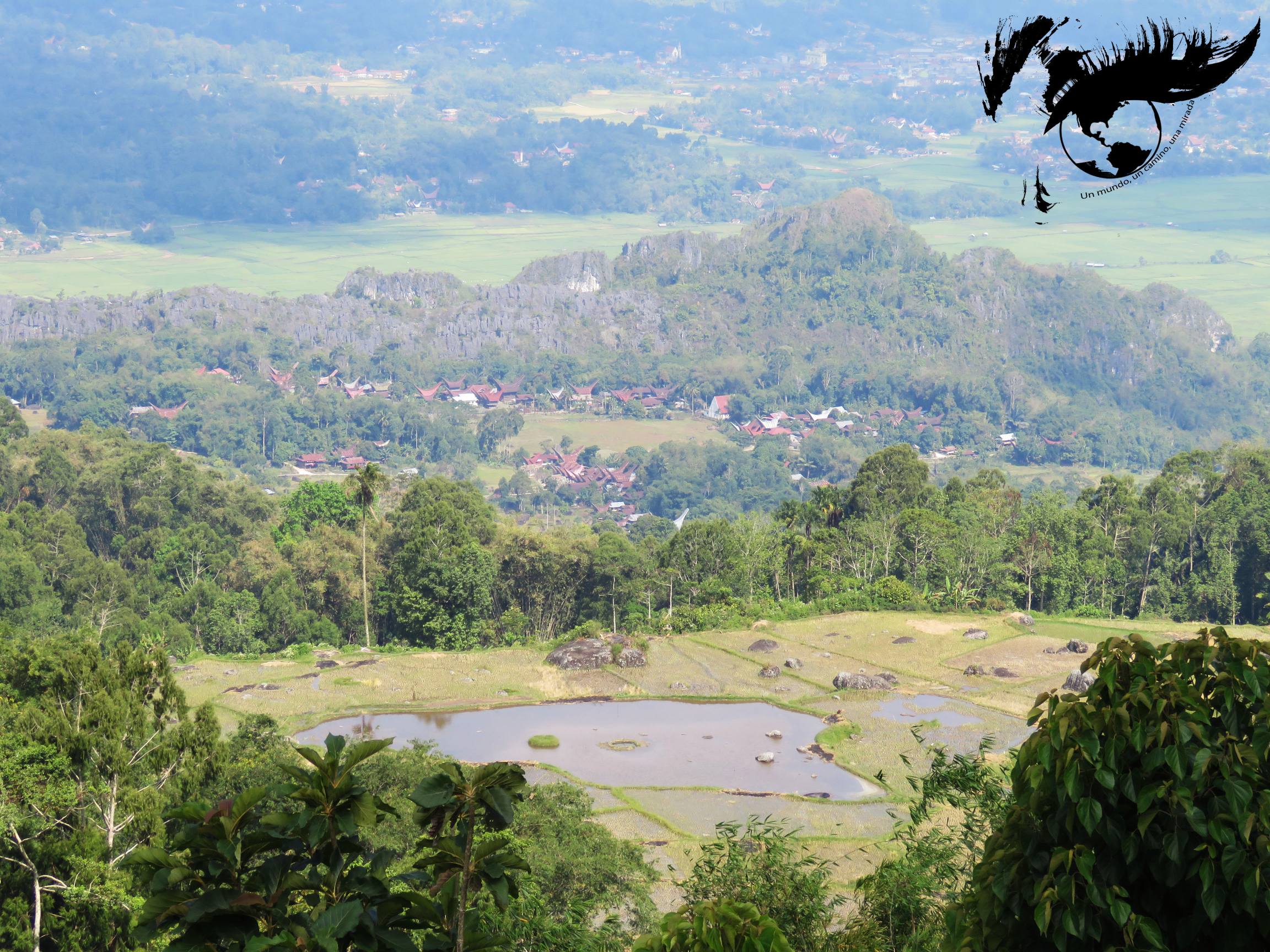 resized_foto paisaje ok