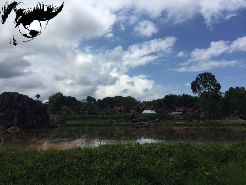 Oda a la muerte en Tana Toraja&nbsp;I