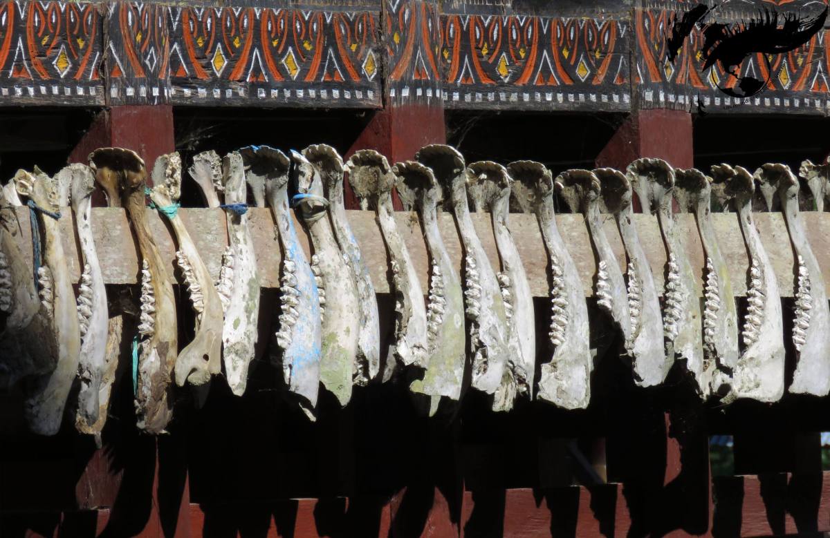 Oda a la muerte en Tana Toraja&nbsp;II