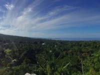 Parque Nacional de Tangkoko&nbsp;(Sulawesi)
