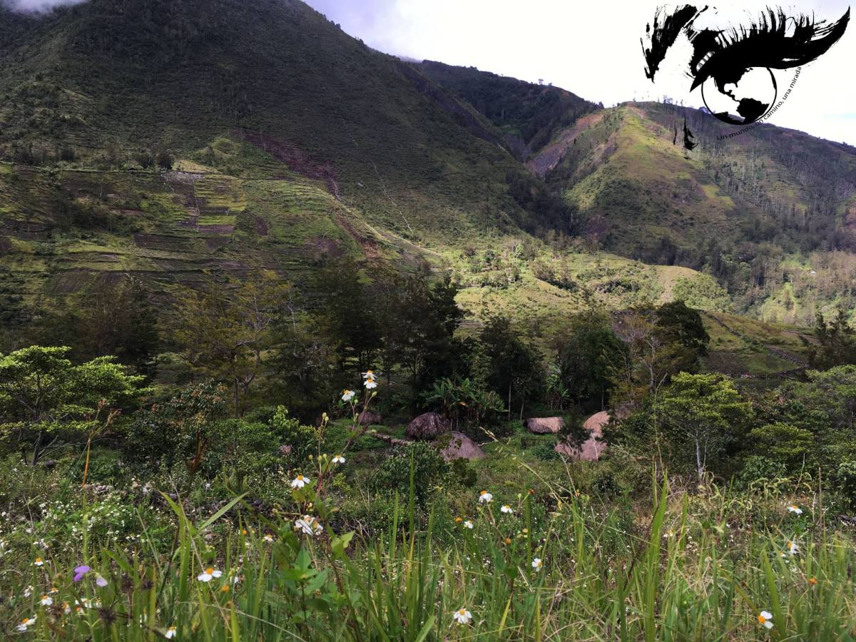 Descubriendo el Valle de&nbsp;Baliem