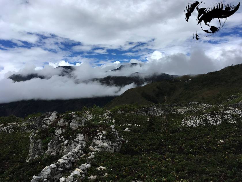 resized_foto vistas seima ok