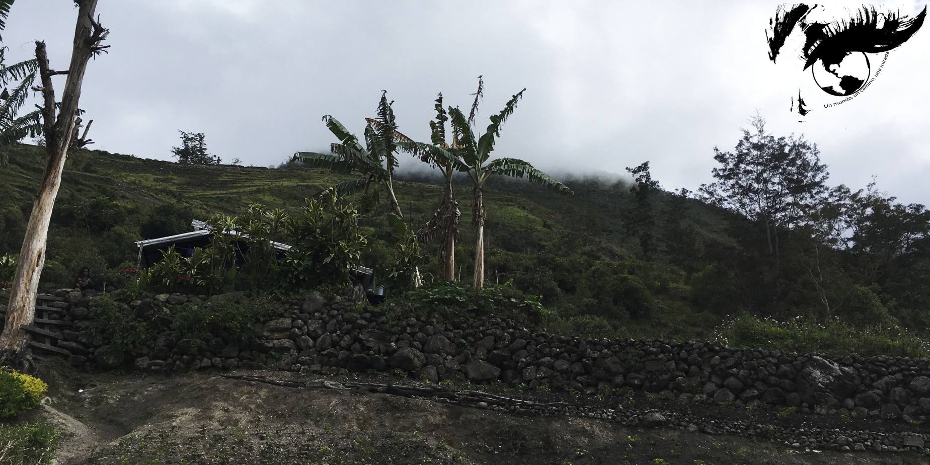 resized_syokosimo ok