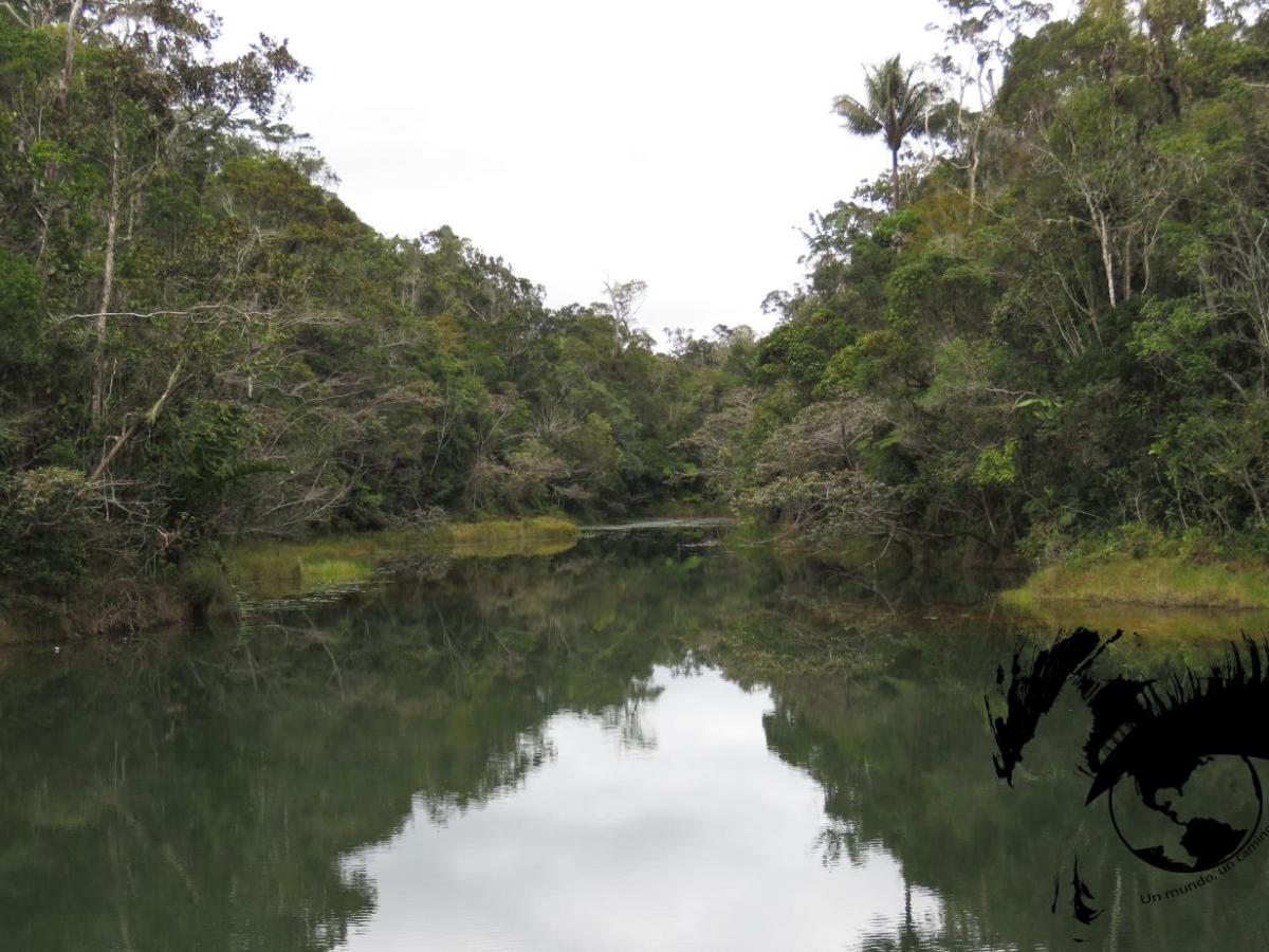 El primer encuentro con los lémures en&nbsp;Analamazaotra