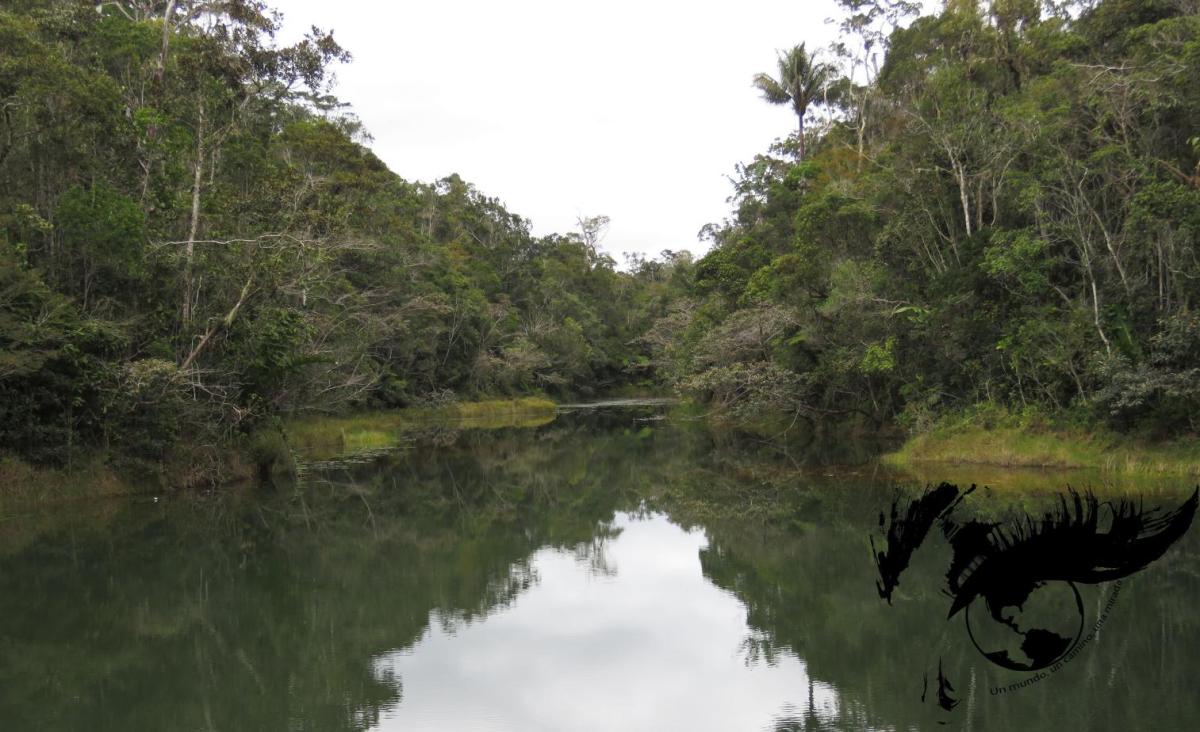 El primer encuentro con los lémures en&nbsp;Analamazaotra