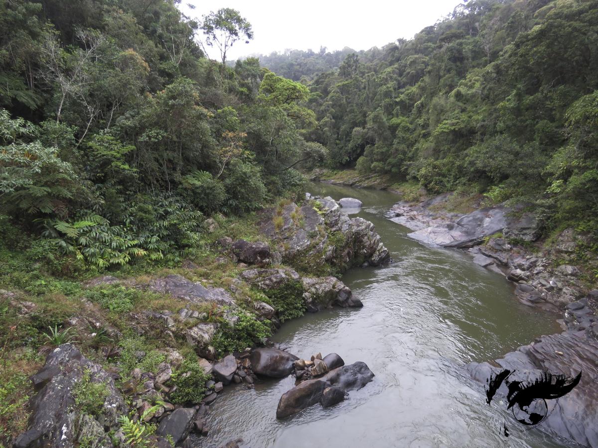 Parque Nacional de Ranomafana – el más&nbsp;visitado