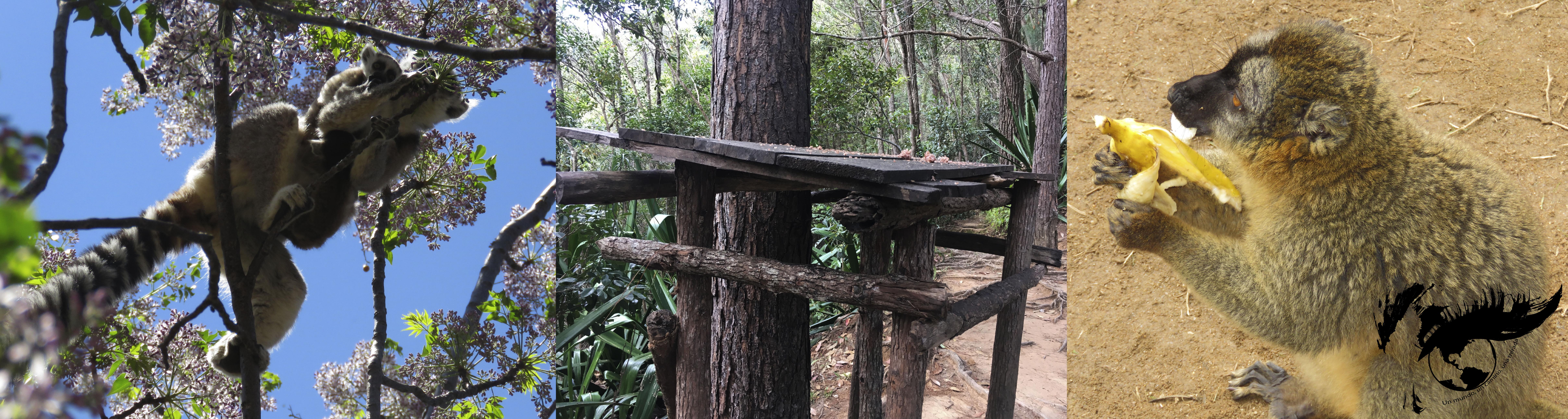 foto alimentación 1