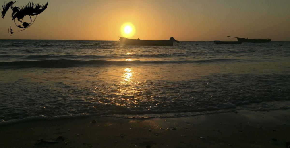 Lo que + y lo que -.&nbsp;Madagascar