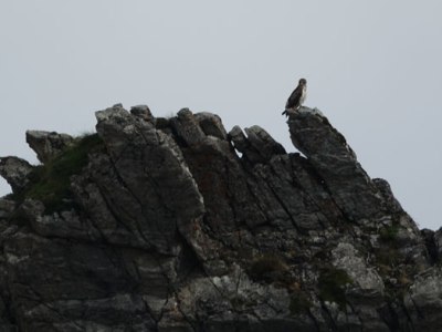 Parque Natural de Somiedo: osos y&nbsp;lobos