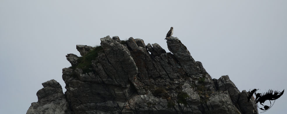 Parque Natural de Somiedo: osos y&nbsp;lobos