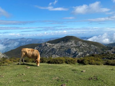 Mar y montaña: una semana por&nbsp;Asturias