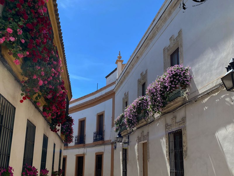 Tres días por Córdoba (y sus&nbsp;patios)