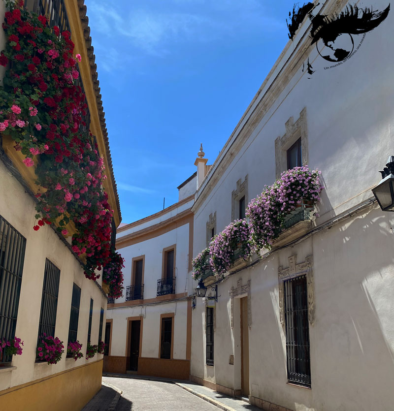 Tres días por Córdoba (y sus&nbsp;patios)