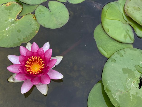 Recomendaciones de viaje – China (Shanghai y Ruta de la&nbsp;Seda)