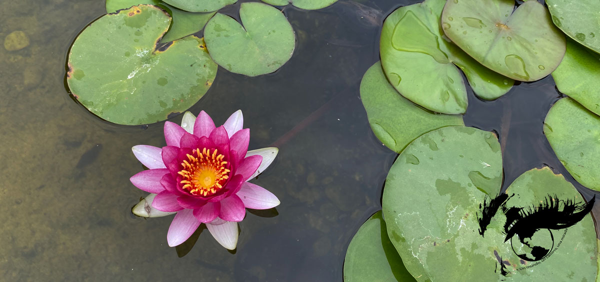 Recomendaciones de viaje – China (Shanghai y Ruta de la&nbsp;Seda)