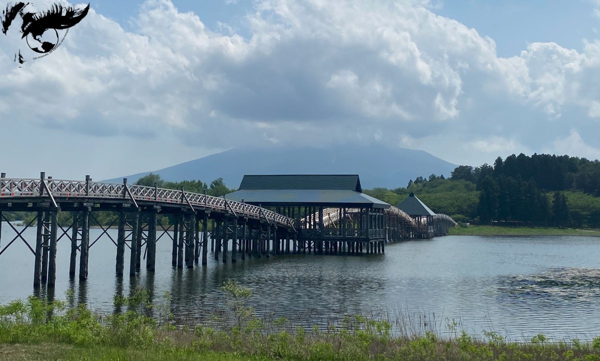 Lo que + nos gustó y lo que –. Tokio y&nbsp;Tohoku