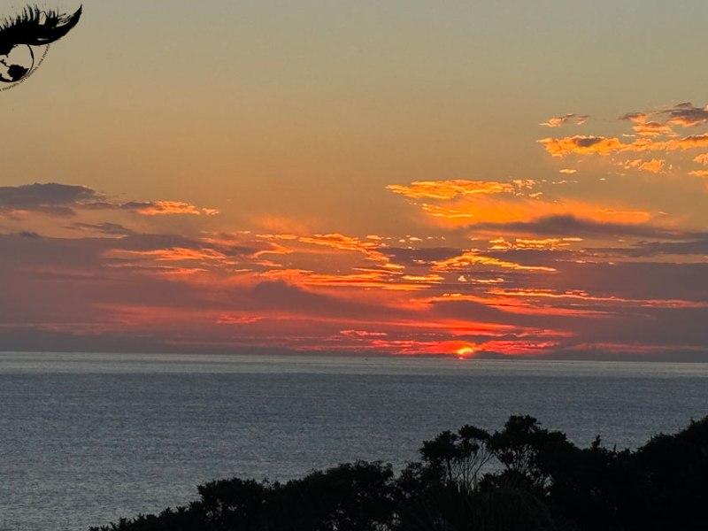 Yakushima, pequeño paraíso&nbsp;natural