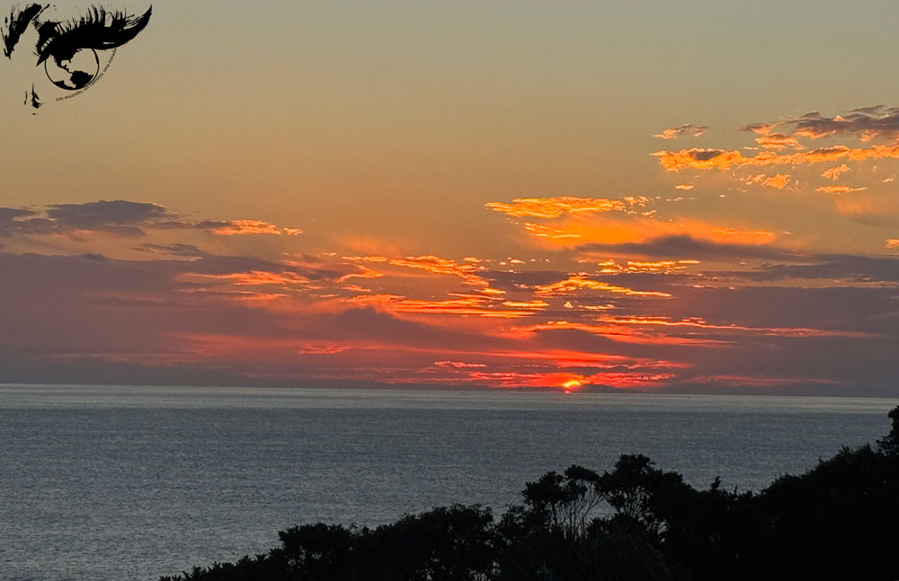 Yakushima, pequeño paraíso&nbsp;natural